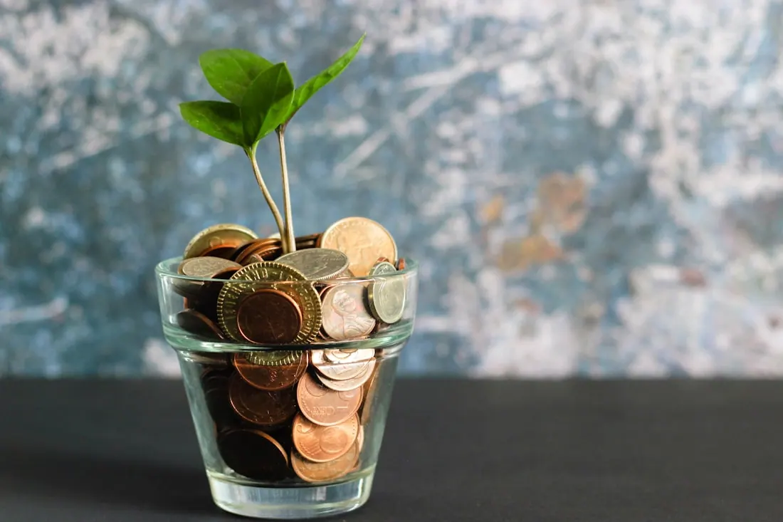 Payslips & compliance — Zoho Payroll
